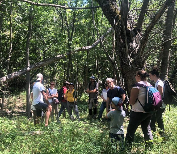 Bioblitz