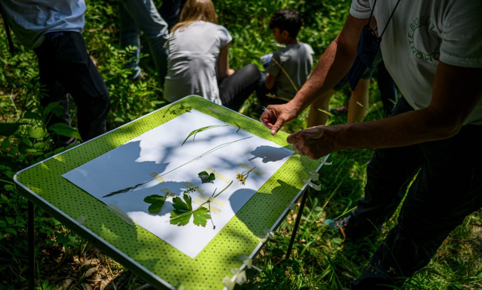 Bioblitz_Chiomonte_giugno 2023_1
