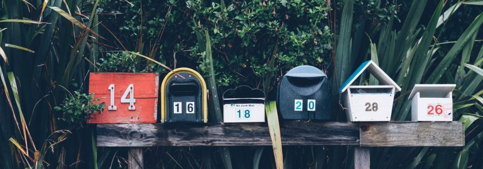 Newsletter_header
