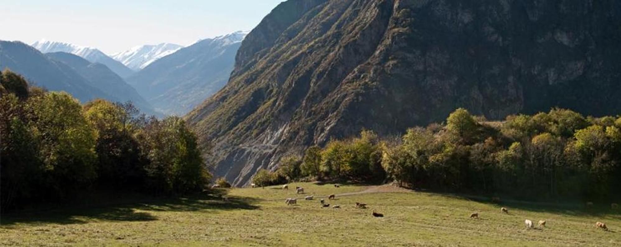 L’impegno di TELT per le attività agricole