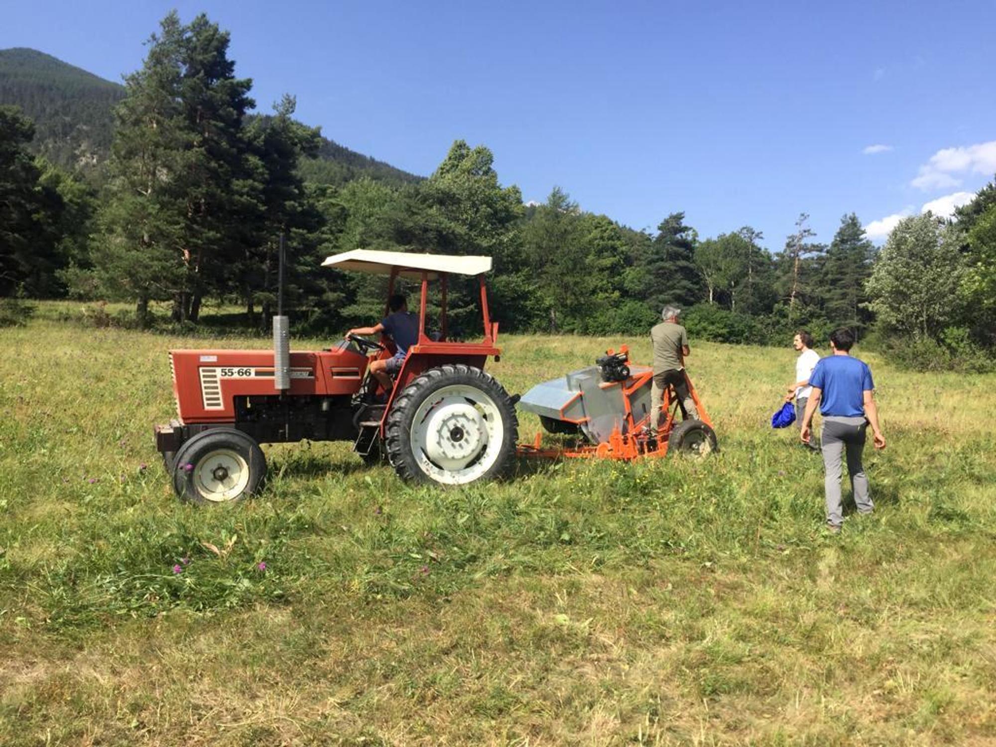 Progetto biodiversità: “Spazzolatura” dei prati in Val Susa per semi a Km 0