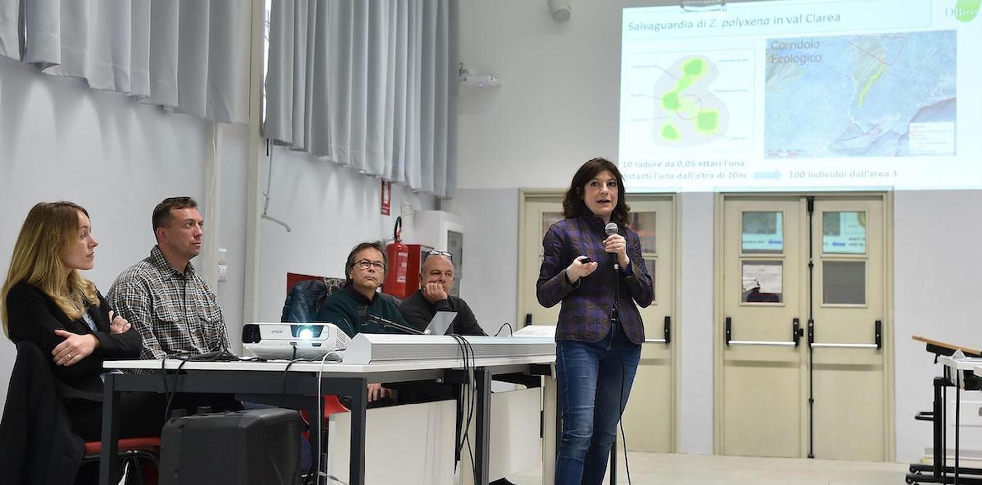 Un corridoio ecologico per la farfalla Zerynthia