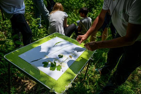 Bioblitz 2023: una giornata all’insegna della biodiversità