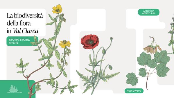 La storia della biodiversità della Val Clarea attraverso un libro  