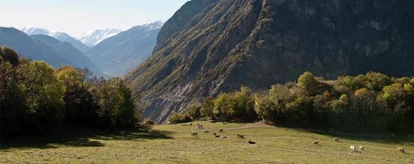 L’impegno di TELT per le attività agricole