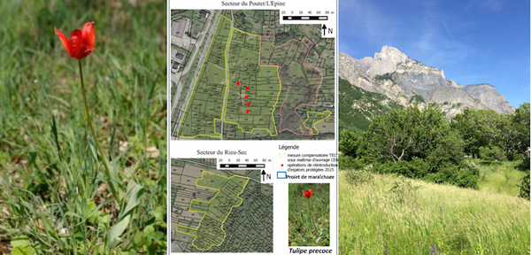 Mesures environnementales à Saint-Julien-Montdenis