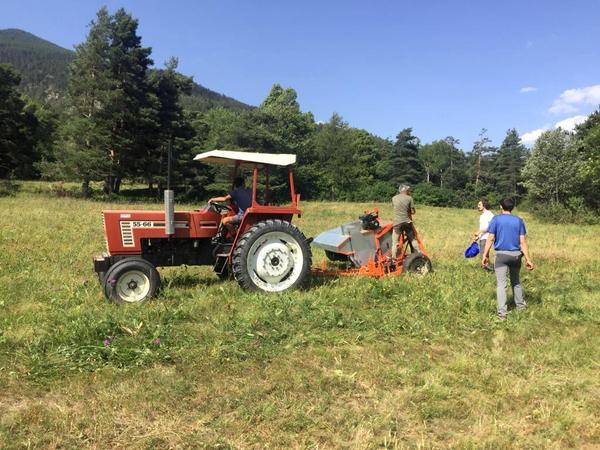 Progetto biodiversità: “Spazzolatura” dei prati in Val Susa per semi a Km 0