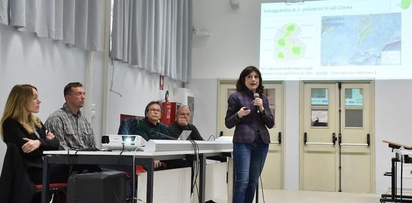 Un corridoio ecologico per la farfalla Zerynthia