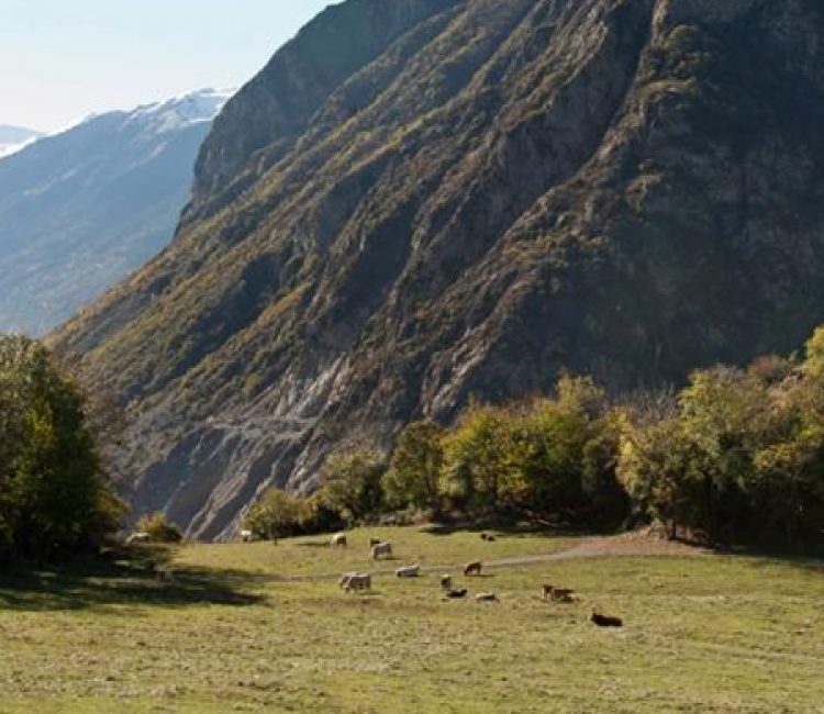 MAURIENNE Agricole
