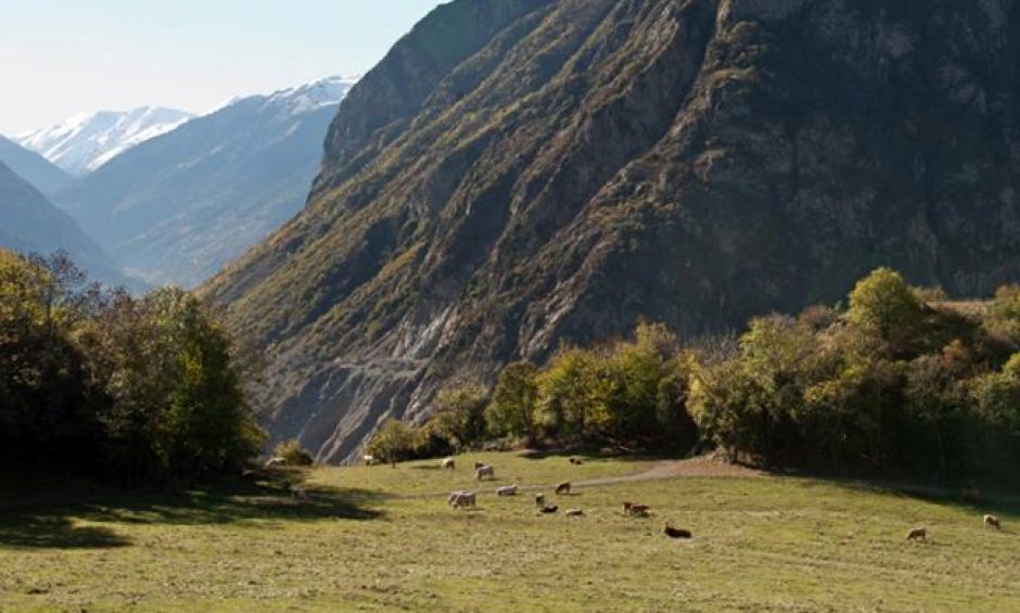 MAURIENNE Agricole